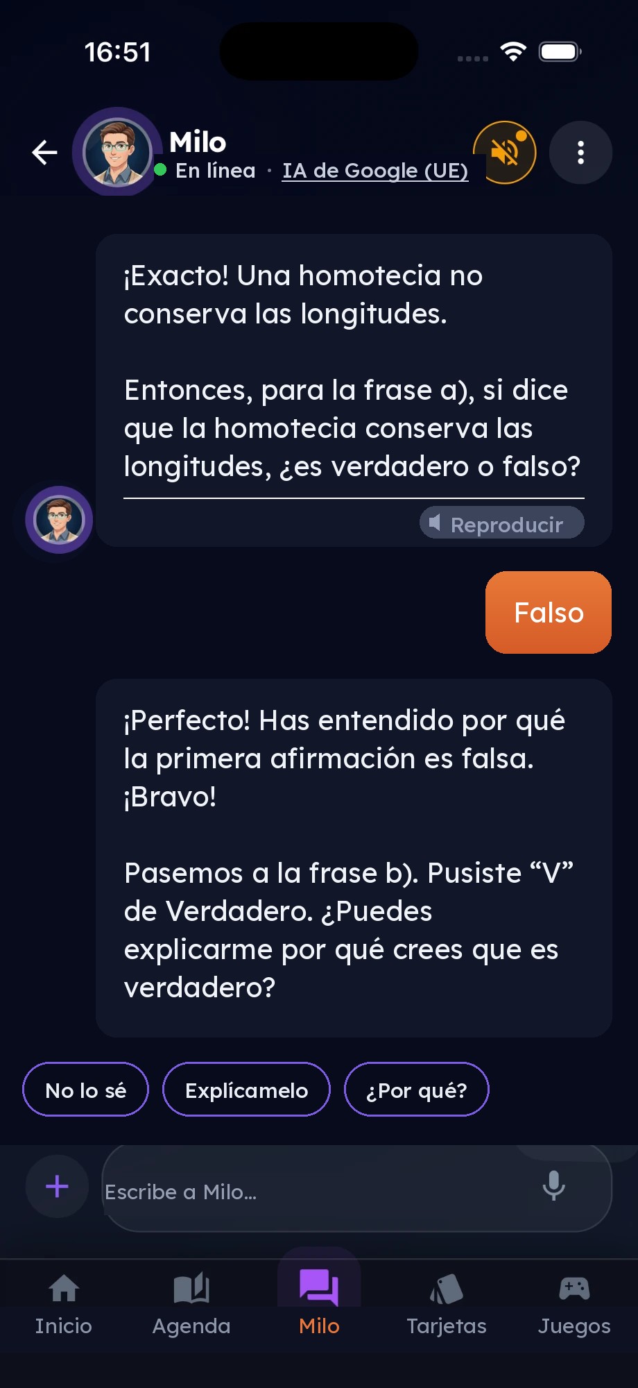 Milo pregunta al niño si una afirmación sobre homotecias es verdadera o falsa