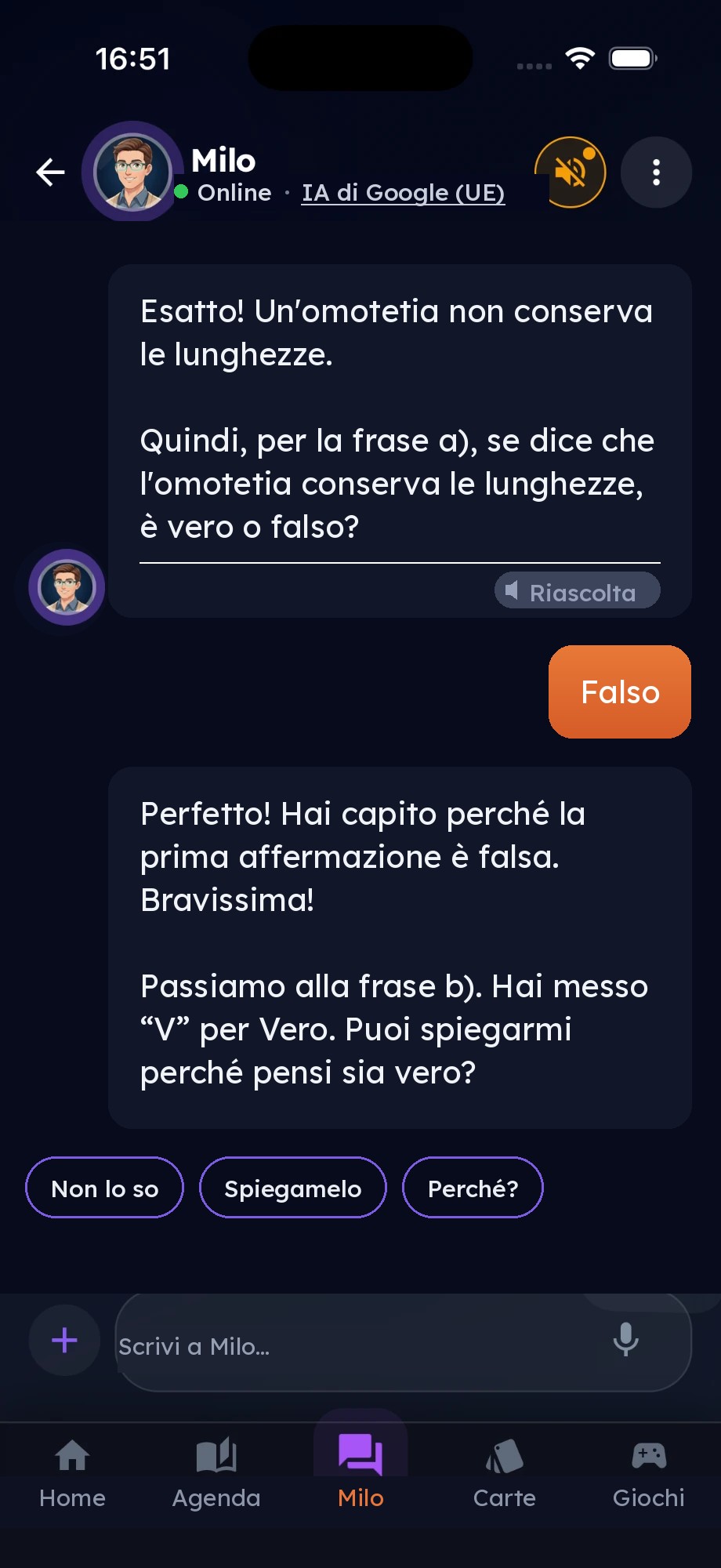 Milo chiede al bambino se un'affermazione sulle omotetie è vera o falsa